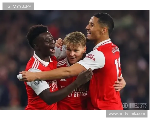 阿森纳主力伤病困扰 厄德高萨利巴等缺席比赛